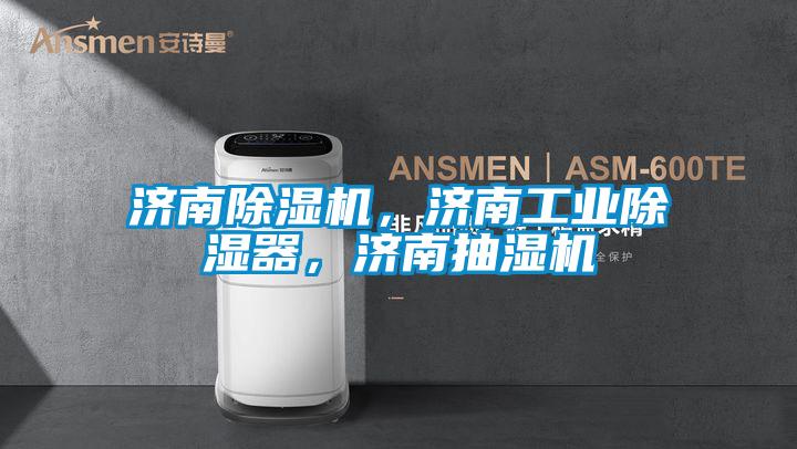濟(jì)南除濕機(jī)，濟(jì)南工業(yè)除濕器，濟(jì)南抽濕機(jī)