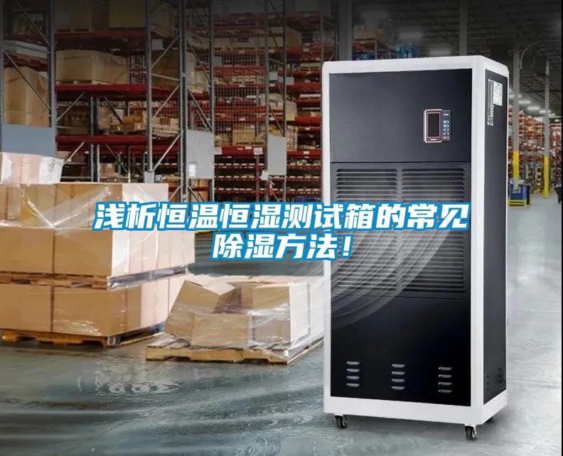 淺析恒溫恒濕測(cè)試箱的常見除濕方法！
