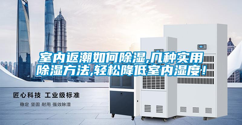 室內(nèi)返潮如何除濕,幾種實(shí)用除濕方法,輕松降低室內(nèi)濕度！