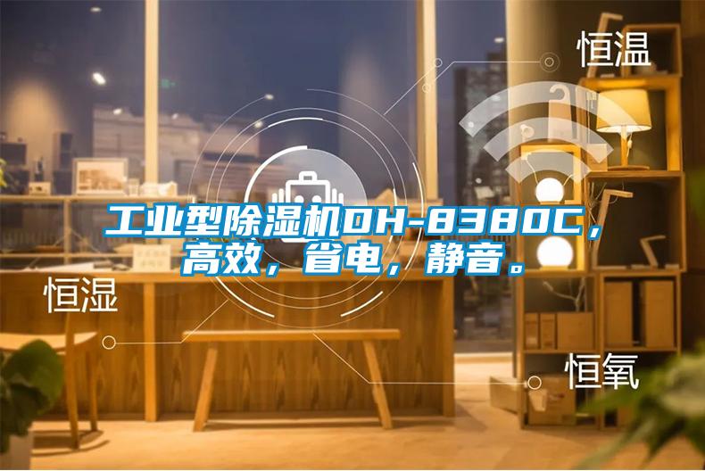 工業(yè)型除濕機DH-8380C，高效，省電，靜音。