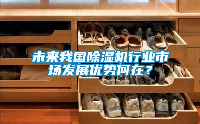 未來我國除濕機(jī)行業(yè)市場(chǎng)發(fā)展優(yōu)勢(shì)何在?