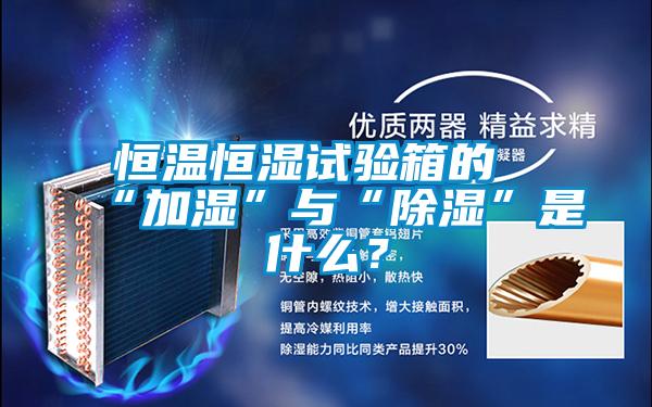 恒溫恒濕試驗(yàn)箱的“加濕”與“除濕”是什么？