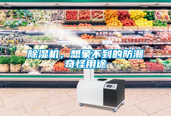 除濕機，想象不到的防潮奇怪用途