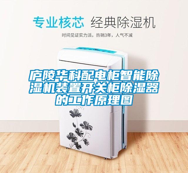 廬陵華科配電柜智能除濕機裝置開關(guān)柜除濕器的工作原理圖
