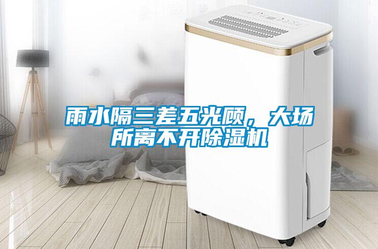 雨水隔三差五光顧，大場所離不開除濕機