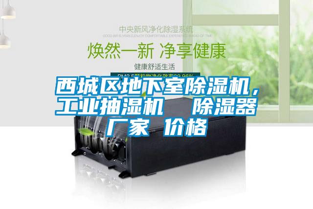 西城區(qū)地下室除濕機(jī)，工業(yè)抽濕機(jī)  除濕器廠家 價(jià)格