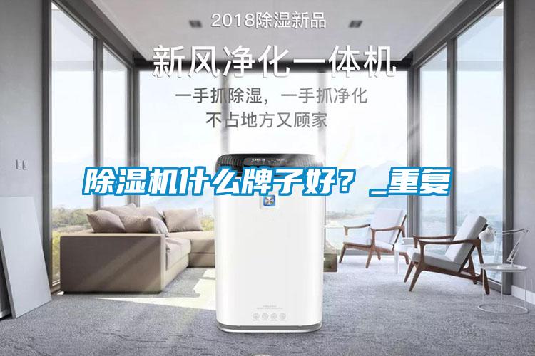 除濕機(jī)什么牌子好？_重復(fù)