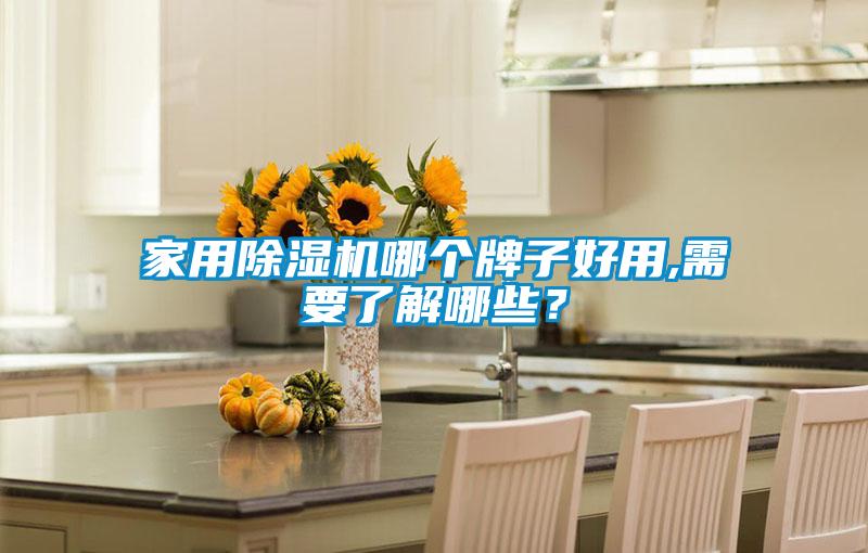 家用除濕機(jī)哪個牌子好用,需要了解哪些？