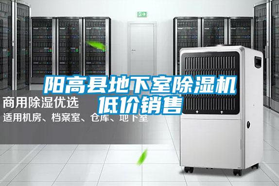 陽高縣地下室除濕機(jī)低價(jià)銷售