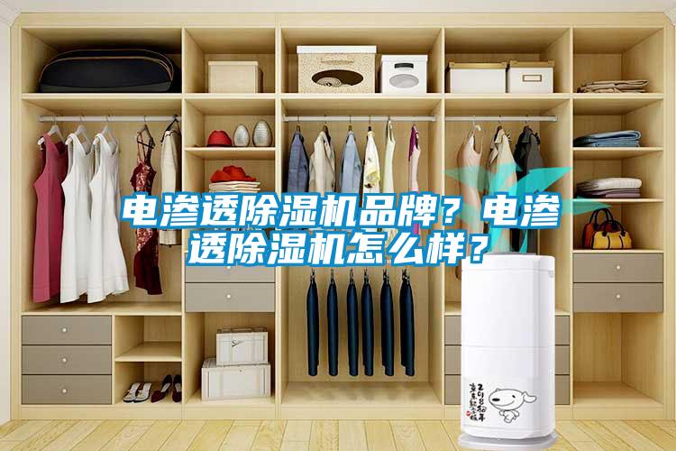 電滲透除濕機品牌？電滲透除濕機怎么樣？