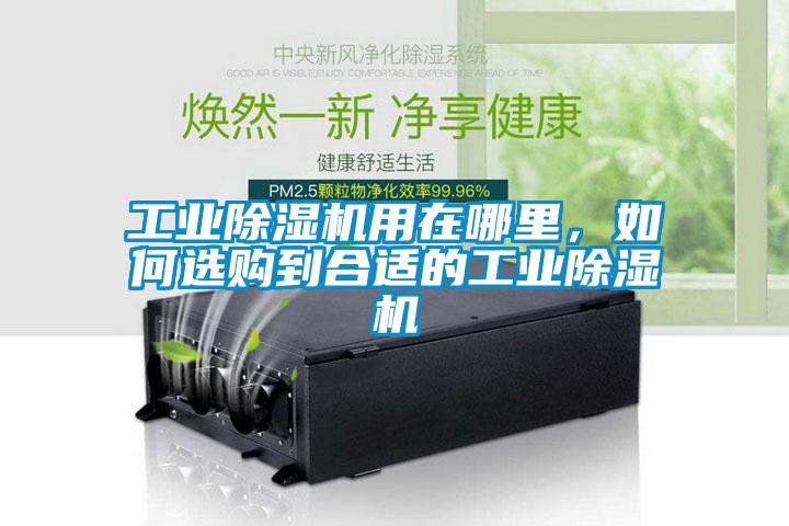 工業(yè)除濕機(jī)用在哪里，如何選購(gòu)到合適的工業(yè)除濕機(jī)