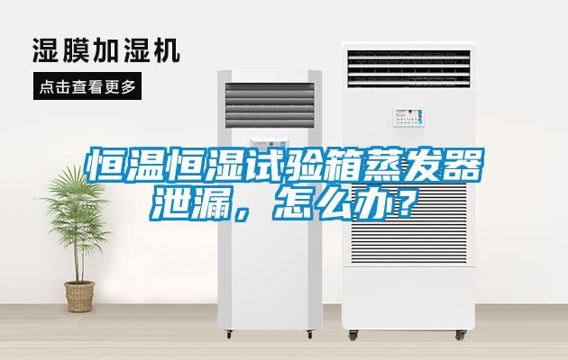恒溫恒濕試驗箱蒸發(fā)器泄漏，怎么辦？