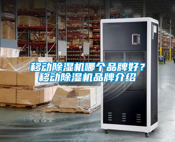 移動除濕機哪個品牌好？移動除濕機品牌介紹