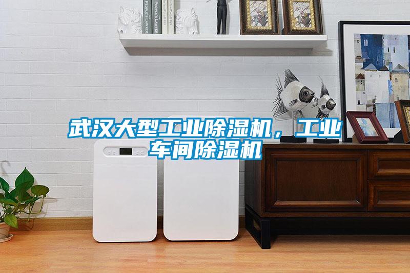 武漢大型工業(yè)除濕機(jī)，工業(yè)車間除濕機(jī)