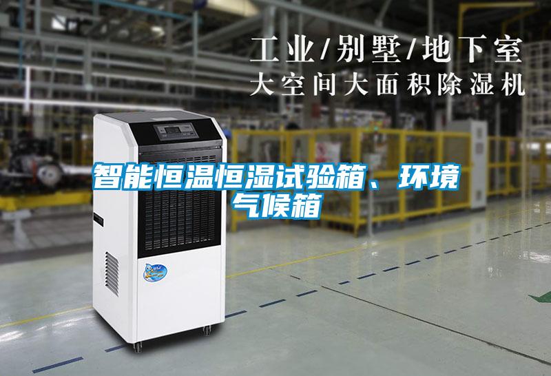 智能恒溫恒濕試驗(yàn)箱、環(huán)境氣候箱
