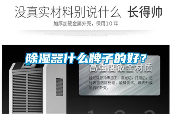 除濕器什么牌子的好？