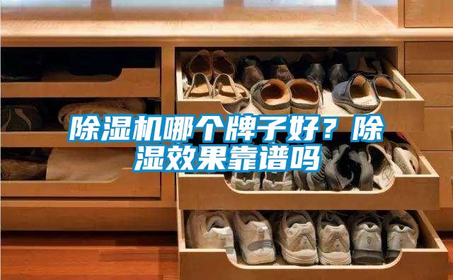 除濕機哪個牌子好？除濕效果靠譜嗎