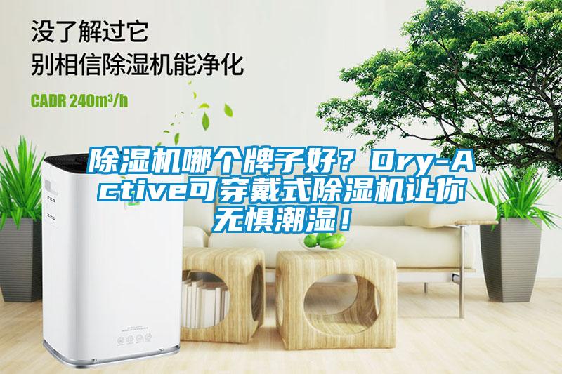 除濕機哪個牌子好？Dry-Active可穿戴式除濕機讓你無懼潮濕！