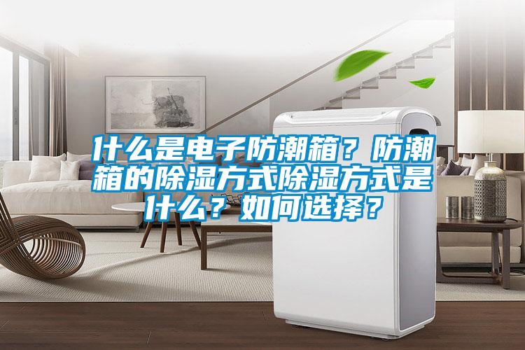什么是電子防潮箱？防潮箱的除濕方式除濕方式是什么？如何選擇？