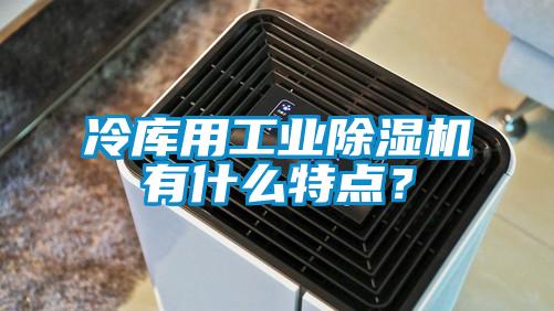 冷庫用工業(yè)除濕機有什么特點？