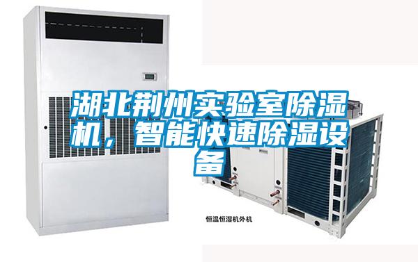 湖北荊州實驗室除濕機，智能快速除濕設備