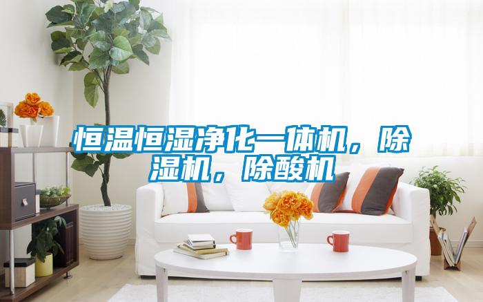 恒溫恒濕凈化一體機(jī)，除濕機(jī)，除酸機(jī)