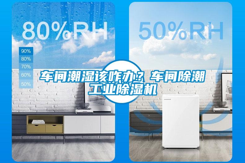 車間潮濕該咋辦？車間除潮工業(yè)除濕機