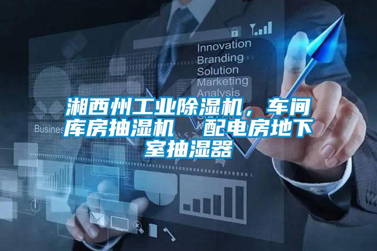 湘西州工業(yè)除濕機(jī)，車間庫房抽濕機(jī)  配電房地下室抽濕器