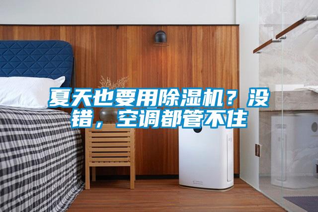 夏天也要用除濕機(jī)？沒錯(cuò)，空調(diào)都管不住