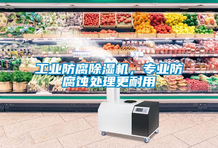 工業(yè)防腐除濕機(jī)，專業(yè)防腐蝕處理更耐用