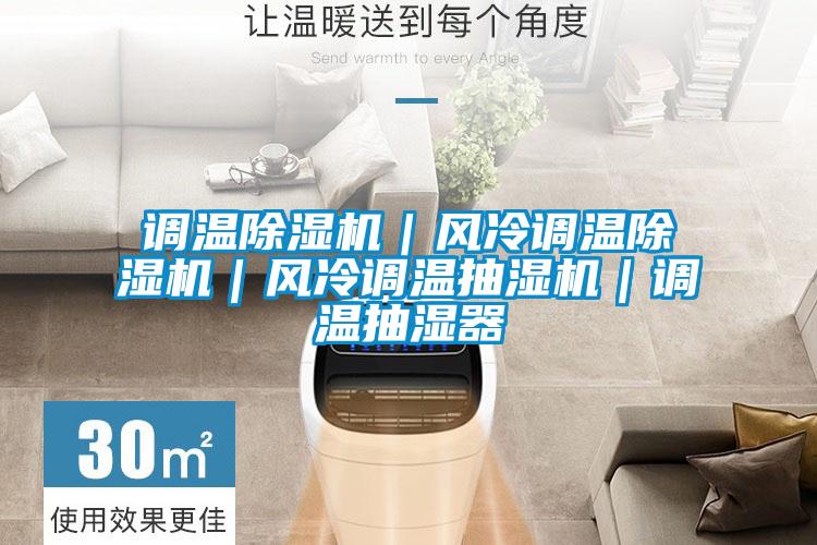 調(diào)溫除濕機(jī)|風(fēng)冷調(diào)溫除濕機(jī)|風(fēng)冷調(diào)溫抽濕機(jī)|調(diào)溫抽濕器