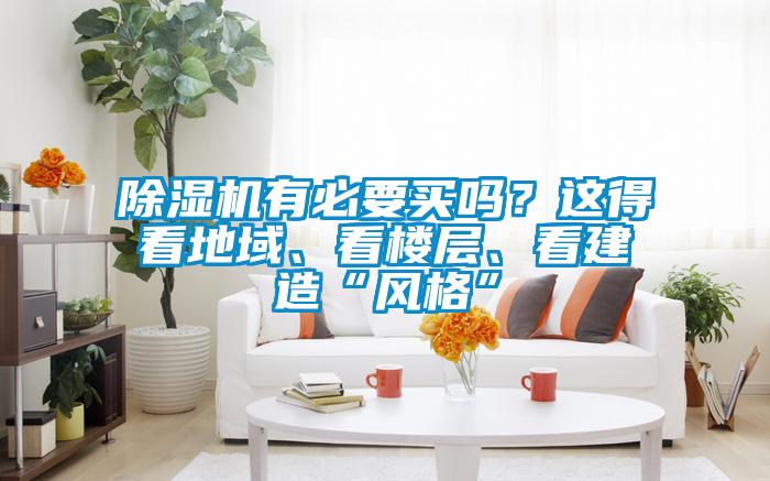 除濕機有必要買嗎？這得看地域、看樓層、看建造“風格”