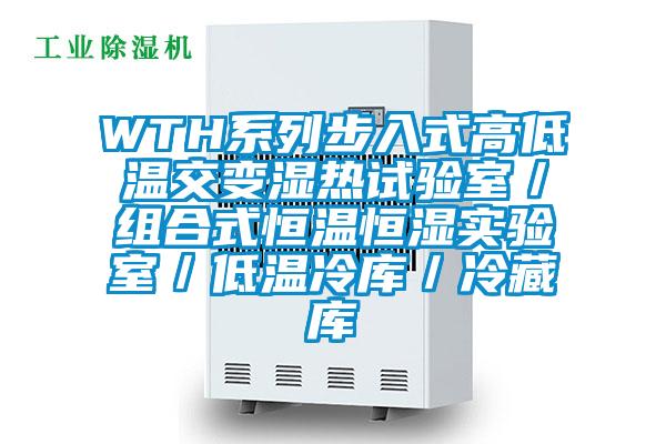 WTH系列步入式高低溫交變濕熱試驗(yàn)室/組合式恒溫恒濕實(shí)驗(yàn)室/低溫冷庫/冷藏庫