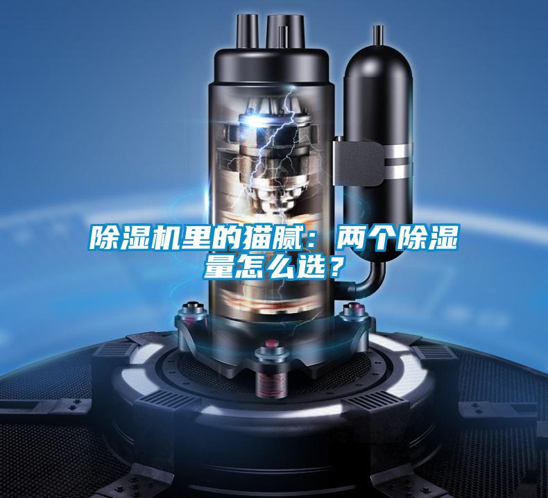 除濕機(jī)里的貓膩：兩個除濕量怎么選？