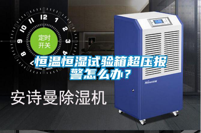 恒溫恒濕試驗(yàn)箱超壓報(bào)警怎么辦？