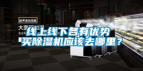 線上線下各有優(yōu)勢 買除濕機應(yīng)該去哪里？