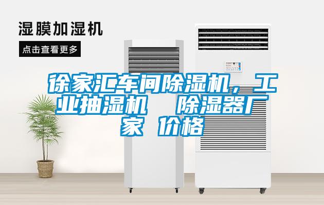 徐家匯車間除濕機，工業(yè)抽濕機  除濕器廠家 價格
