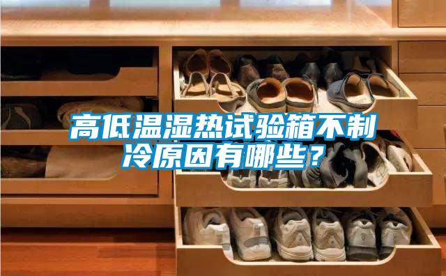 高低溫濕熱試驗箱不制冷原因有哪些？