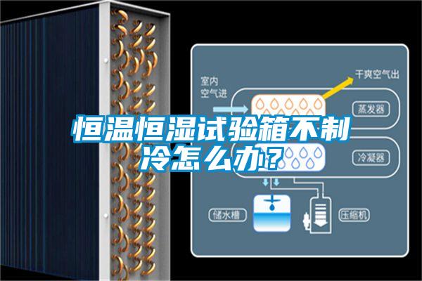 恒溫恒濕試驗箱不制冷怎么辦？