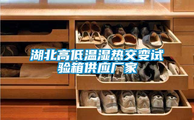 湖北高低溫濕熱交變試驗箱供應(yīng)廠家