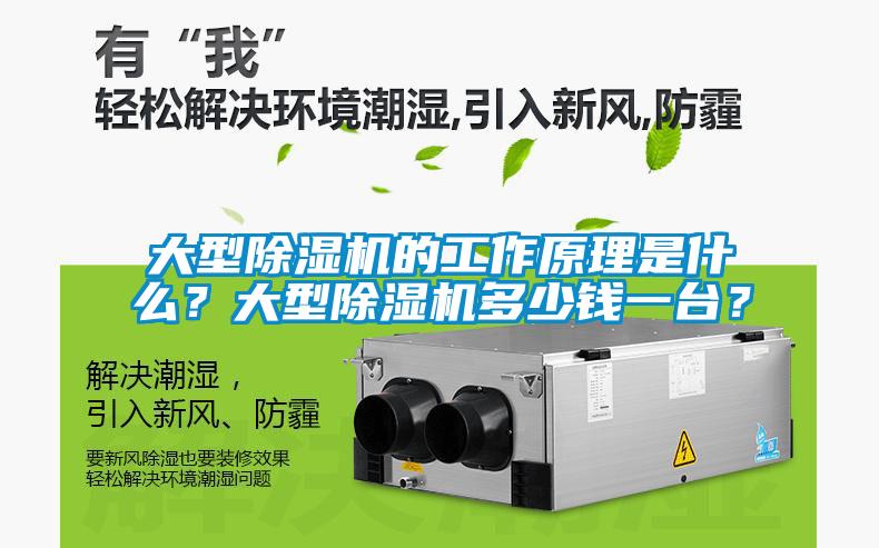 大型除濕機(jī)的工作原理是什么？大型除濕機(jī)多少錢一臺？