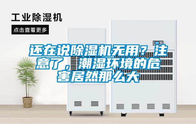 還在說除濕機無用？注意了，潮濕環(huán)境的危害居然那么大