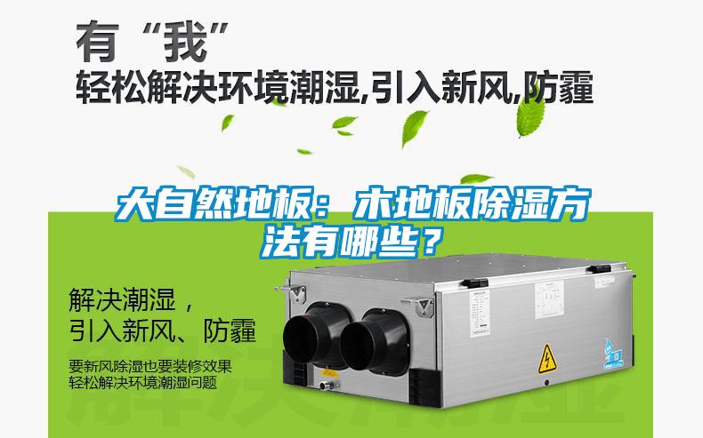 大自然地板：木地板除濕方法有哪些？