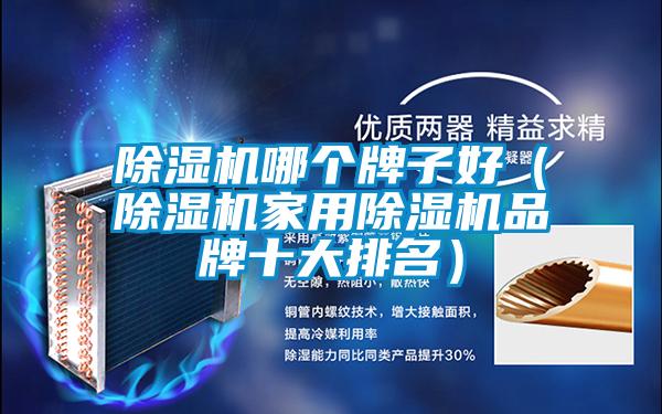 除濕機(jī)哪個(gè)牌子好(除濕機(jī)家用除濕機(jī)品牌十大排名)