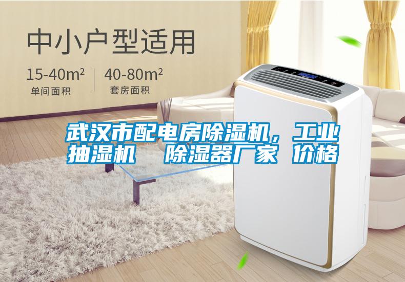 武漢市配電房除濕機(jī)，工業(yè)抽濕機(jī)  除濕器廠家 價(jià)格