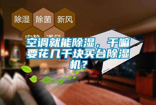 空調(diào)就能除濕，干嘛要花幾千塊買臺(tái)除濕機(jī)？