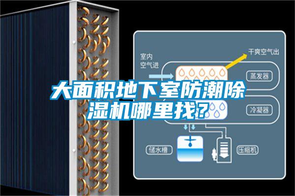 大面積地下室防潮除濕機哪里找？
