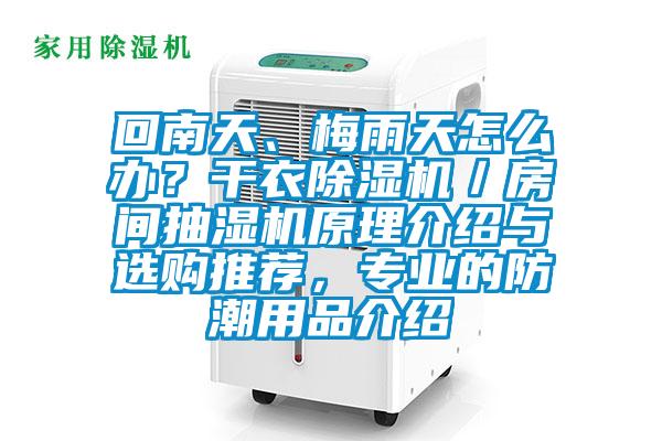 回南天、梅雨天怎么辦？干衣除濕機(jī)／房間抽濕機(jī)原理介紹與選購(gòu)?fù)扑]，專業(yè)的防潮用品介紹
