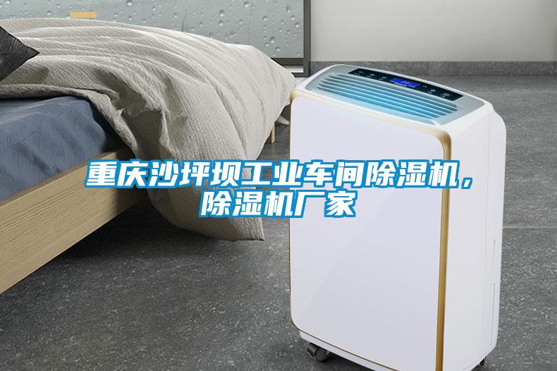 重慶沙坪壩工業(yè)車(chē)間除濕機(jī)，除濕機(jī)廠家