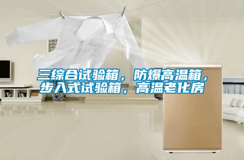 三綜合試驗(yàn)箱，防爆高溫箱，步入式試驗(yàn)箱，高溫老化房